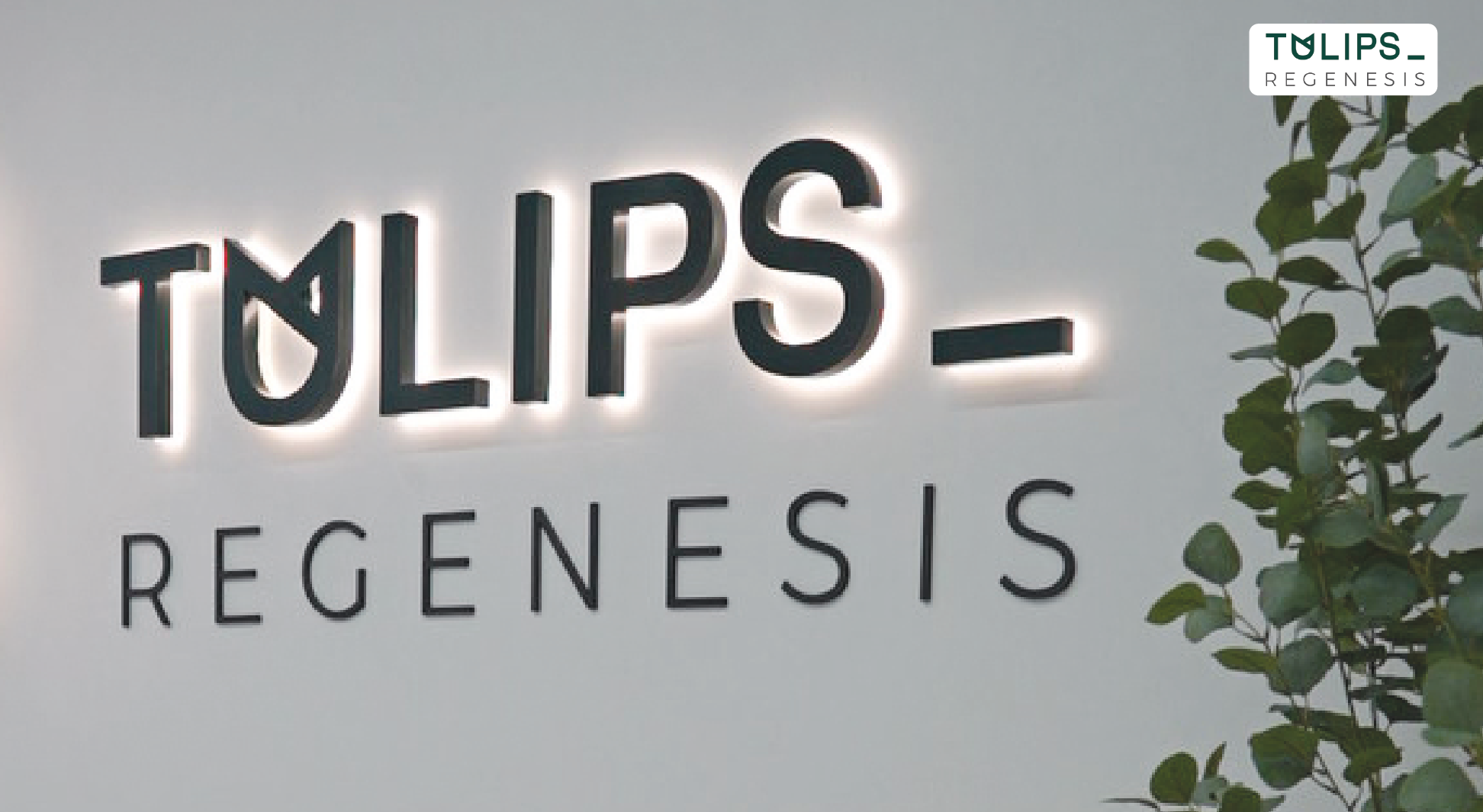 AGH-company profile-FA2-OL-116